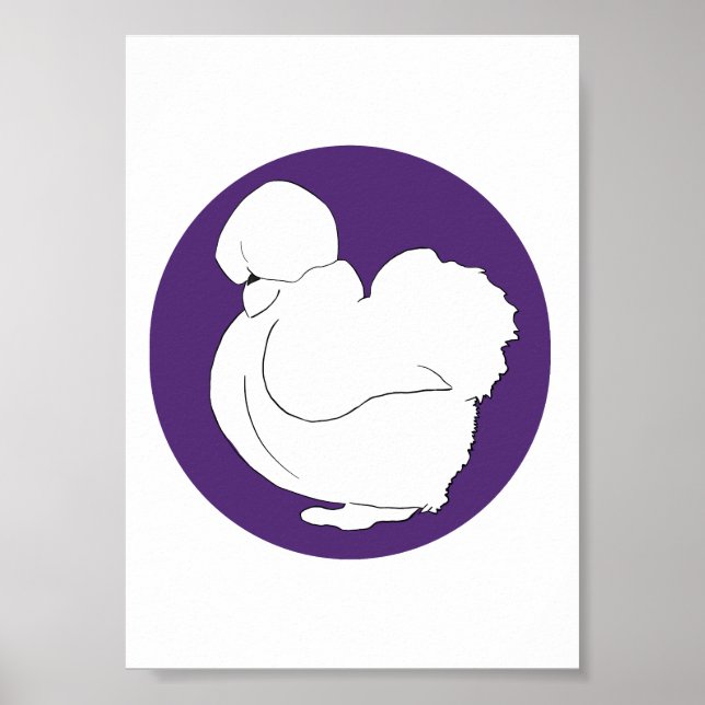 Poster Poule soyeuse (Devant)