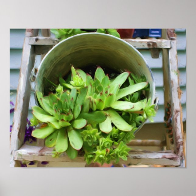 Poster Poules et pousses Succulents Peinture à l'huile ph (Devant)