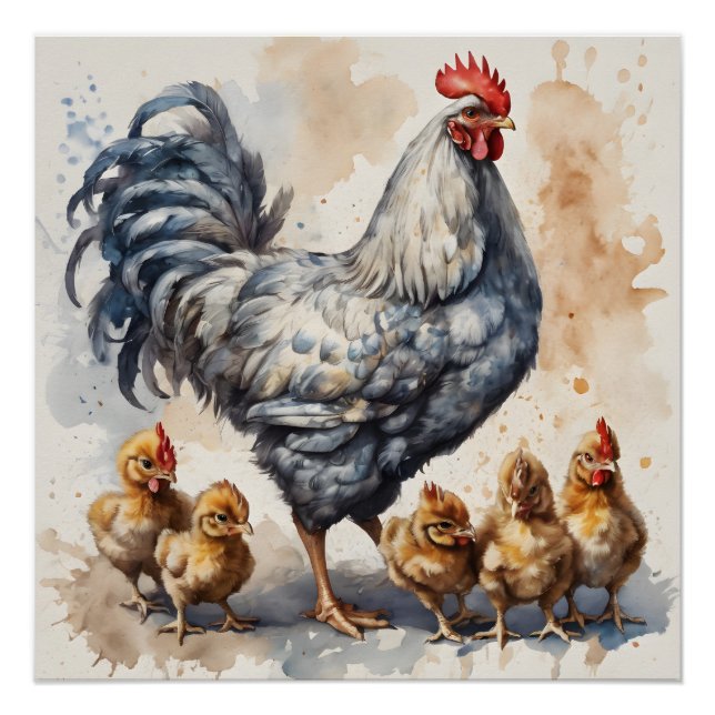 Poster Poulet d'aquarelle avec poules no 2 (Devant)