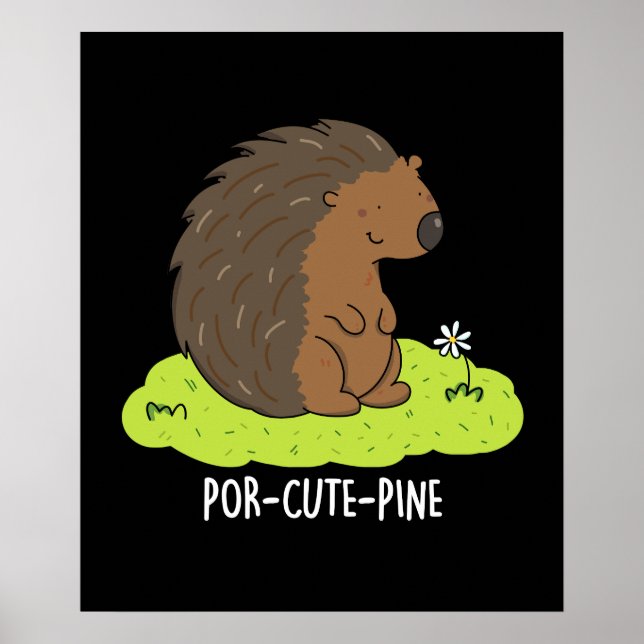 Poster Poulet De Porcupine Drôle De Por Cute-Pin (Devant)