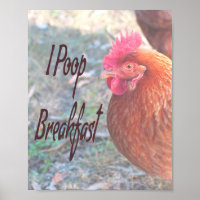 Poulet I poop Petit déjeuner Humour amusant