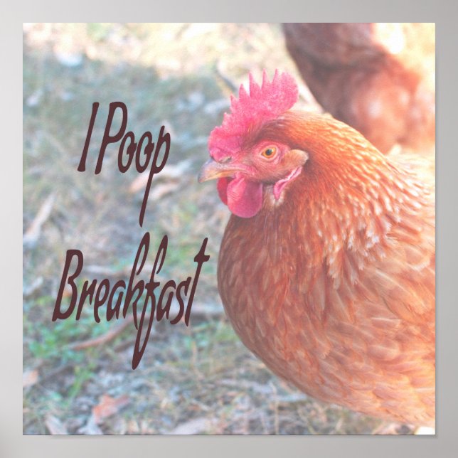 Poster Poulet I poop Petit déjeuner Humour amusant (Devant)