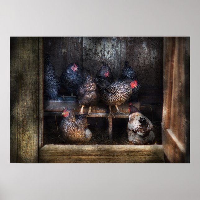Poster Poulet - La Maison Hen (Devant)