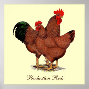 Poster Poulets de rouge de production