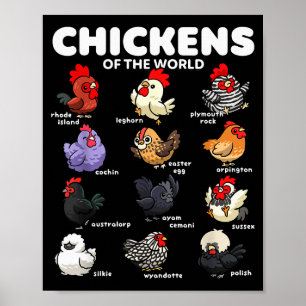 Poster Poulets du monde dessins animés drôles de races de
