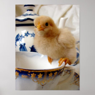 Poster Poulette au thé