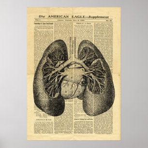 Poster poumons humains Antique Anatomie sur le jou