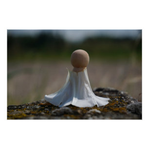 Poster Poupée sensuelle enveloppée dans une robe de fleur