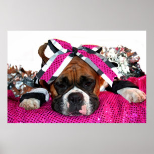 Poster pour chien pom-pom girl Boxer