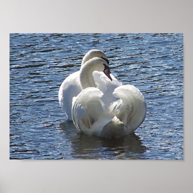 Poster "Pour la vie" (Devant)