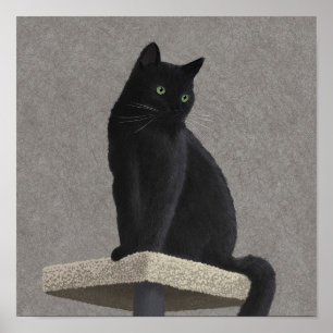 Poster Pourcentage de chat noir