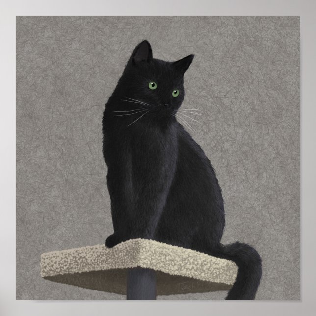 Poster Pourcentage de chat noir (Devant)