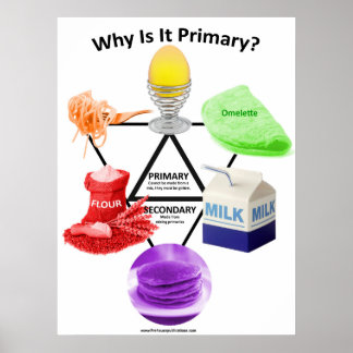 Poster Pourquoi est-ce primaire ?