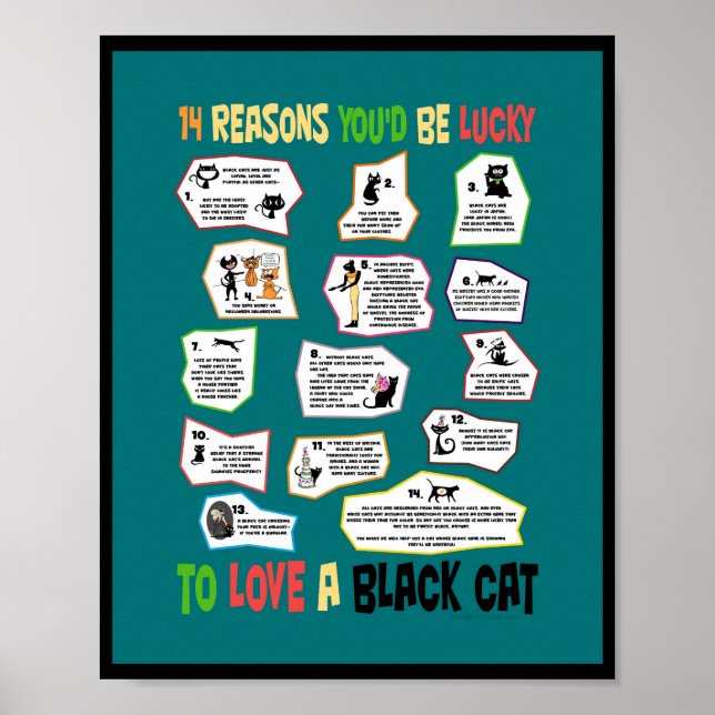 Poster Pourquoi il est chanceux d'aimer un chat noir (Devant)