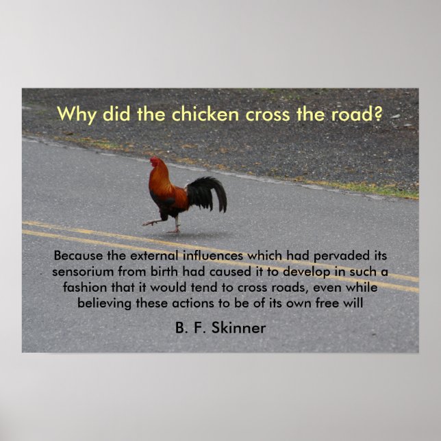 Poster Pourquoi La Croix Du Poulet Est-Elle Passée ? -aff (Devant)