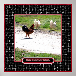 Poster Pourquoi le coq a traversé la route