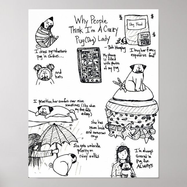 Poster Pourquoi les gens pensent que je suis une dame Car (Devant)