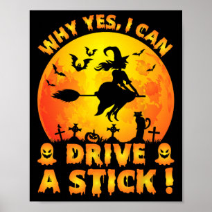 Poster Pourquoi Oui En Fait Je Peux Conduire Un Bâton Drô