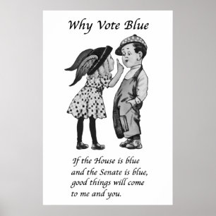 Poster Pourquoi voter bleu en 2024