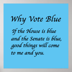 Poster Pourquoi voter bleu en 2026
