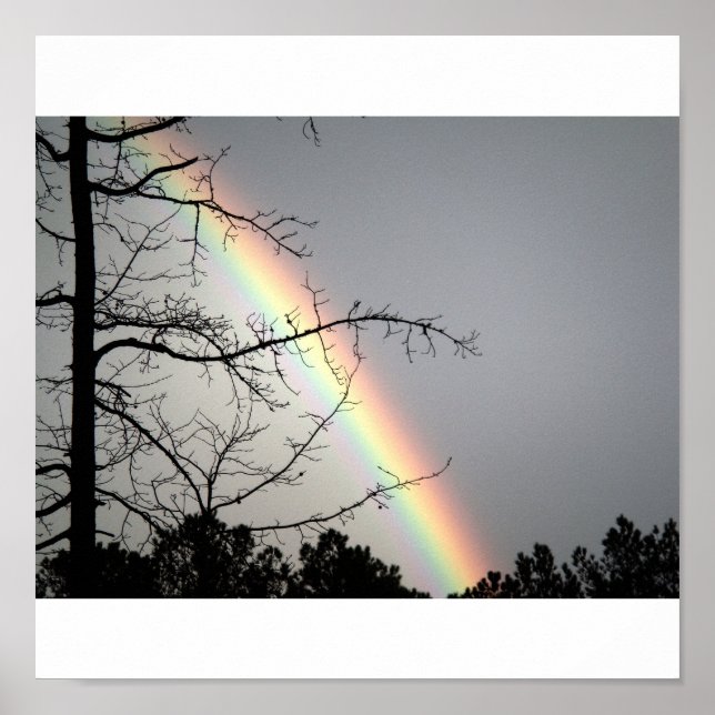 Poster Poursuivre après Rainbows (Devant)