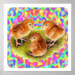Poster Poussins rouges
