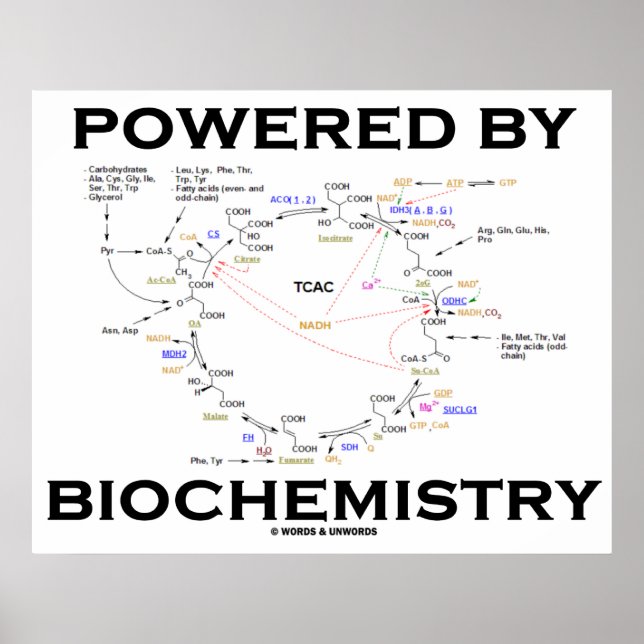 Poster Powered By Biochemistry (Devant)
