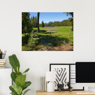 Poster Prairie de Yosemite avec des étoiles filantes