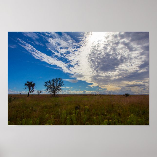 Poster Prairie, Parc d'état de la réserve de prairie de K (Devant)