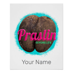 Poster Praslin Seychelles Océan Indien Souvenir Vintage