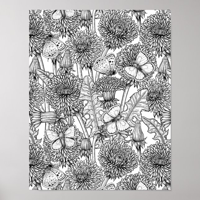 Poster Pré Dandelion en noir et blanc (Devant)