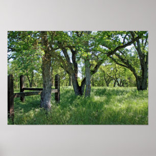 Poster "Pré de ressort "