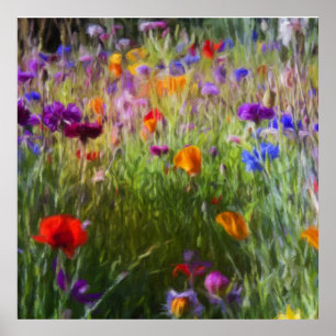 Poster Pré Fleur Sauvage, Fleurs De Cornouailles Et Poppi