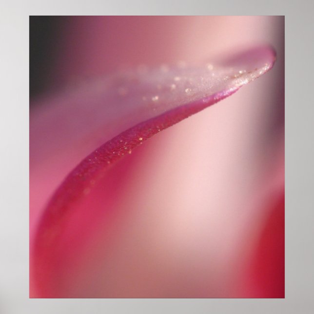 Poster Préciser (Devant)