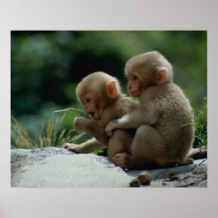 Poster Préfecture de Nagano, Japon