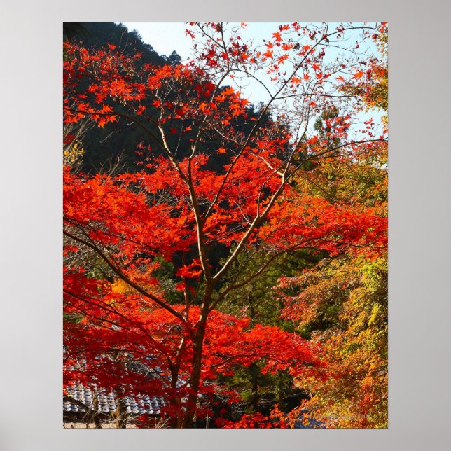 Poster Préfecture de Saitama, Japon (Devant)