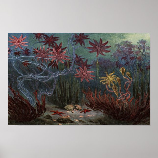 Poster Prehistoric Ocean (Devant)
