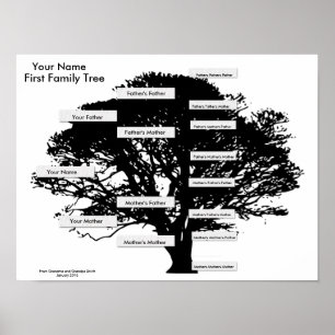 Poster Premier arbre généalogique - simple à