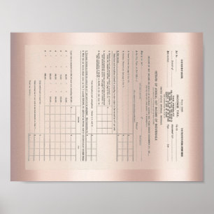 Poster Premier formulaire d'impôt sur le revenu 1040 Rose