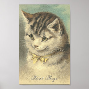 Poster Premier prix Chat Vintage