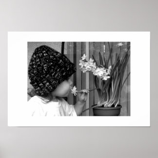 Poster Première fleur