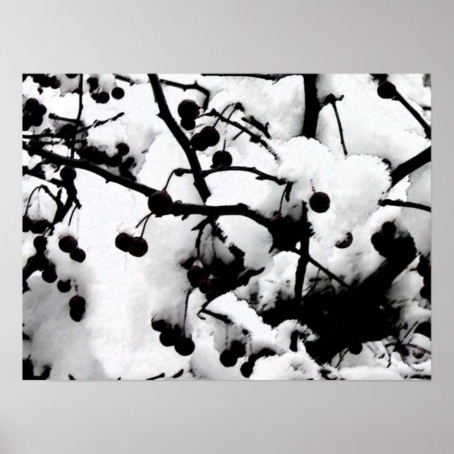 Poster Première neige (Devant)