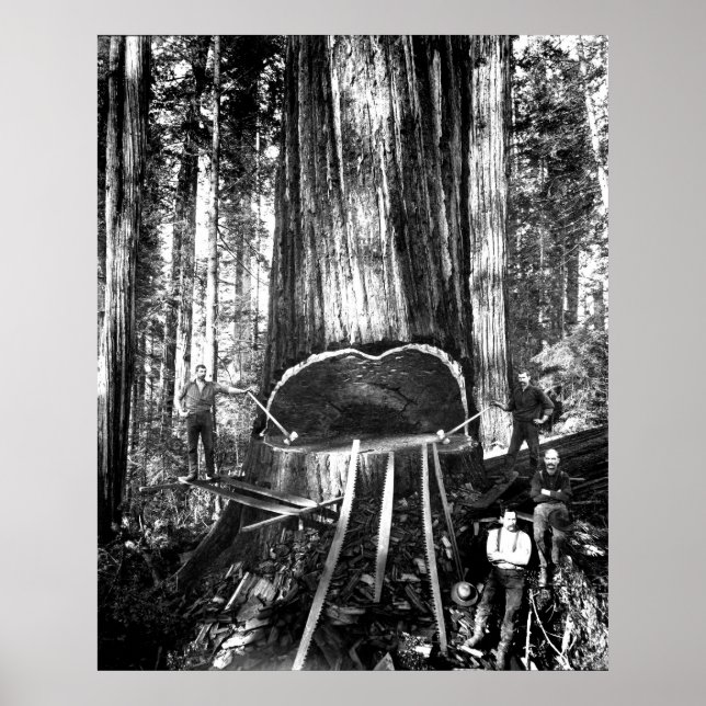 Poster PRENDRE UN GÉANT c. 1890 (Devant)