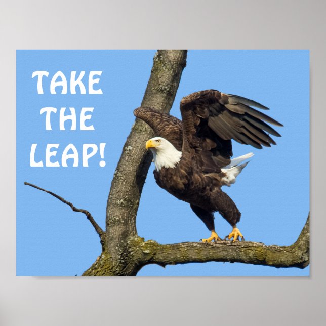 Poster Prenez Le Saut ! (Devant)