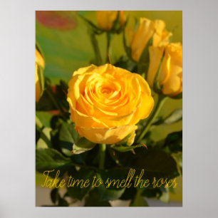 Poster Prenez le temps de sentir la rose jaune photo pers