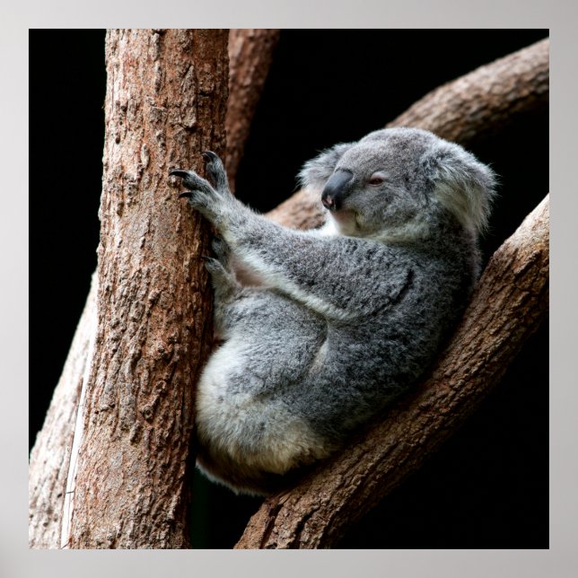 POSTER PRENEZ VOTRE TEMPS (Devant)