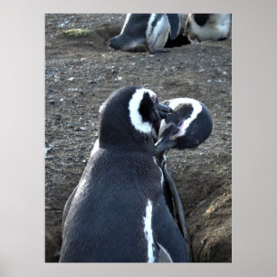 Poster Préparation des partenaires