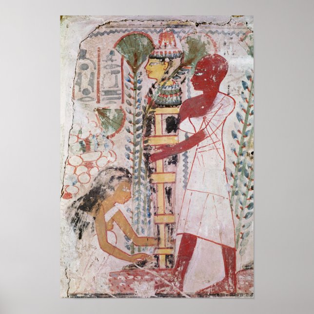 Poster Préparation d'une momie pour une cérémonie de puri (Devant)