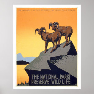 Poster Préserver la vie sauvage 1939 WPA