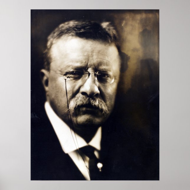 Poster Président politique vintage Theodore Roosevelt (Devant)
